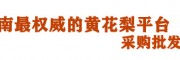 海南黄花梨，海口黄花梨，海南花梨，海口花梨
